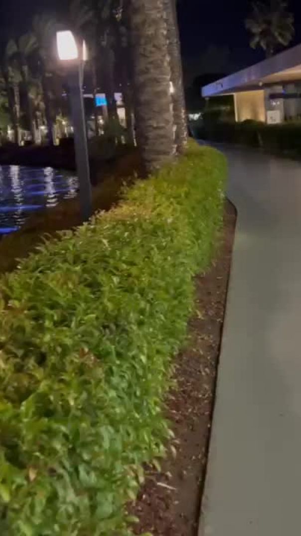 Ялыкавак / Бодрум